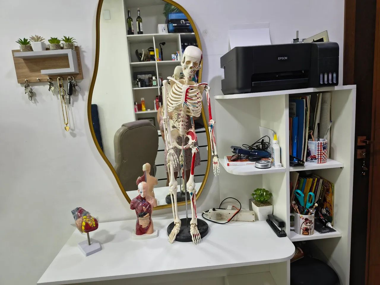 Vende-se todas essas peças anatômicas para estudos. - Foto 5