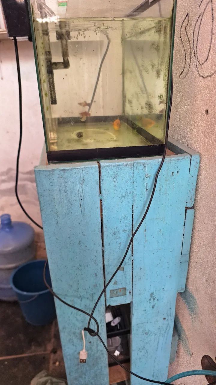 Aquario 25L 