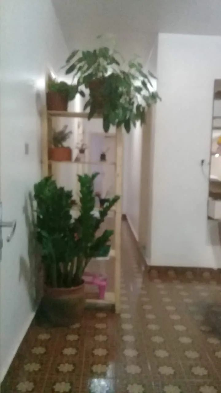 Casa Pedro Ludovico Anápolis 180m² - Foto 2