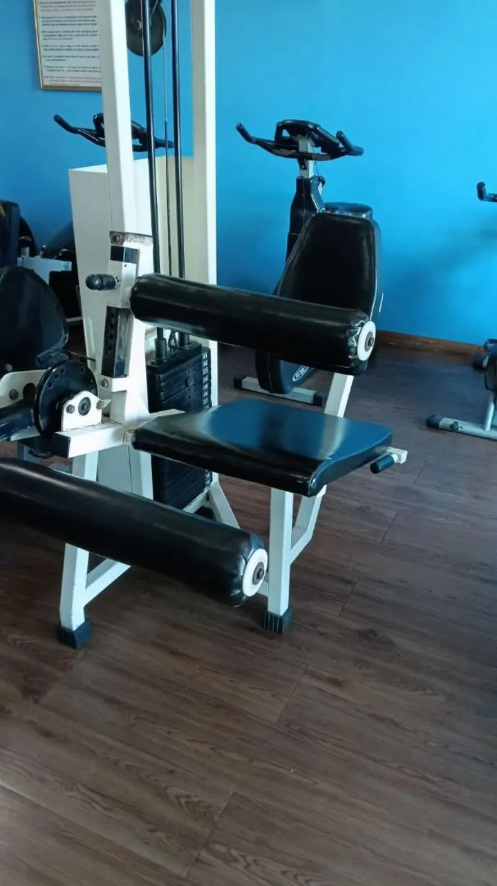 Leg Curl Machine449242265279549444