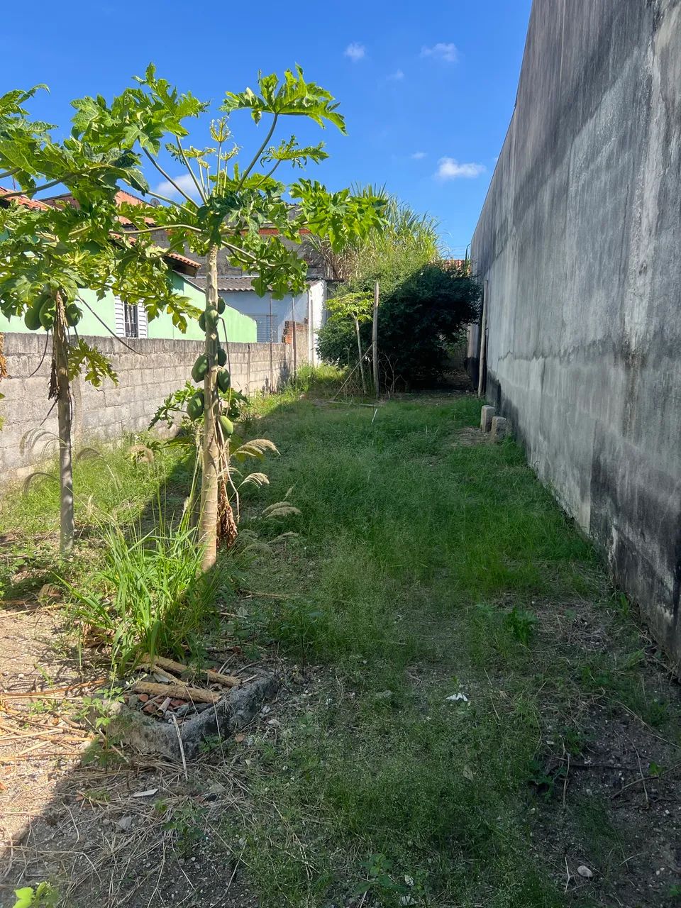 Meio terreno Araretama  - Foto 3