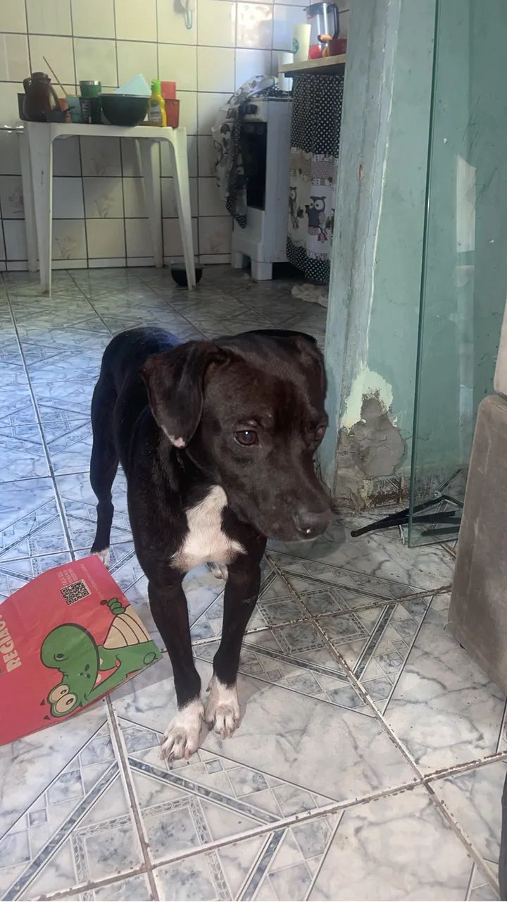Doação  - Foto 2