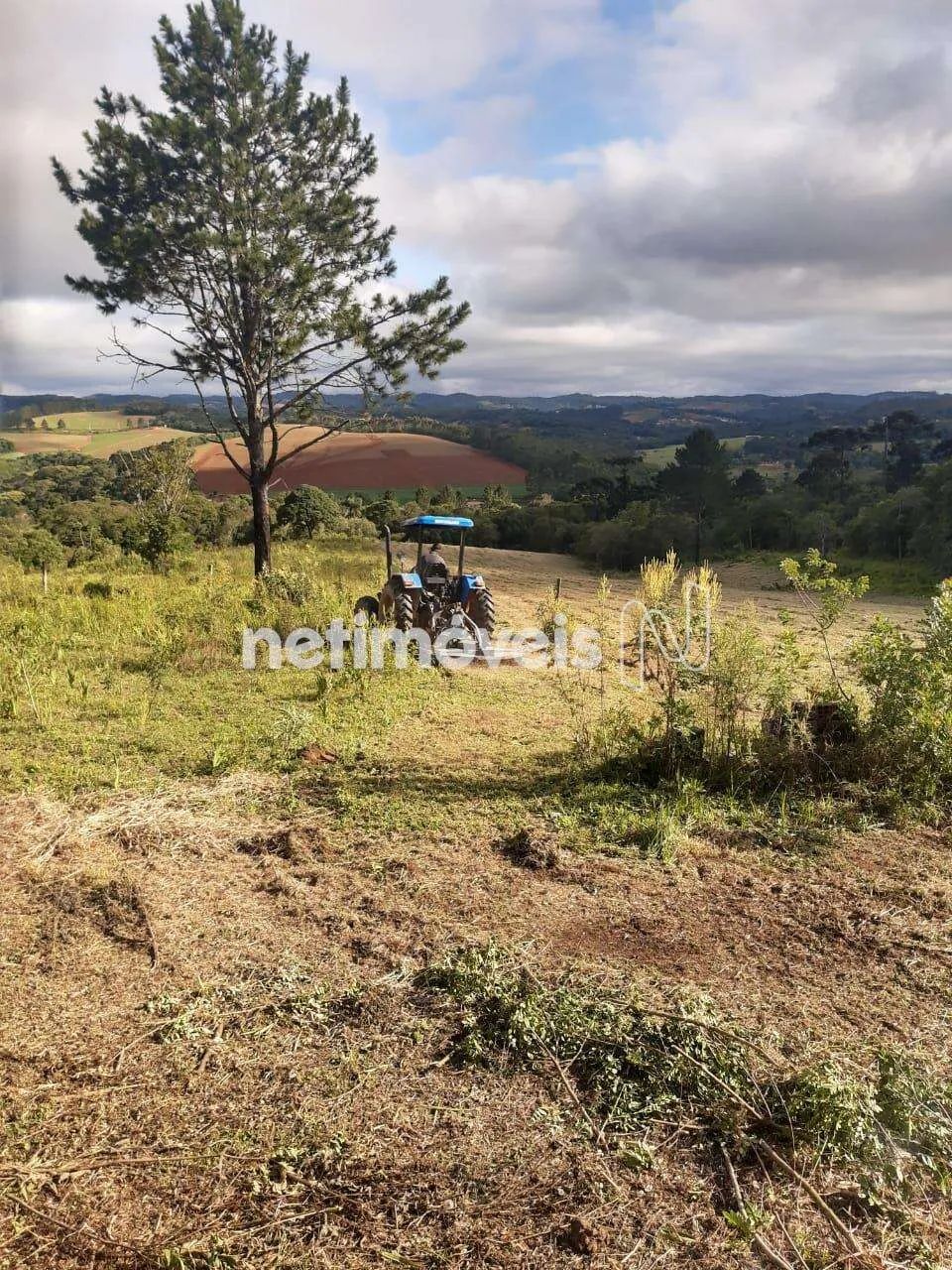 Venda Sítio Chácara Rincão Cotia - Foto 3