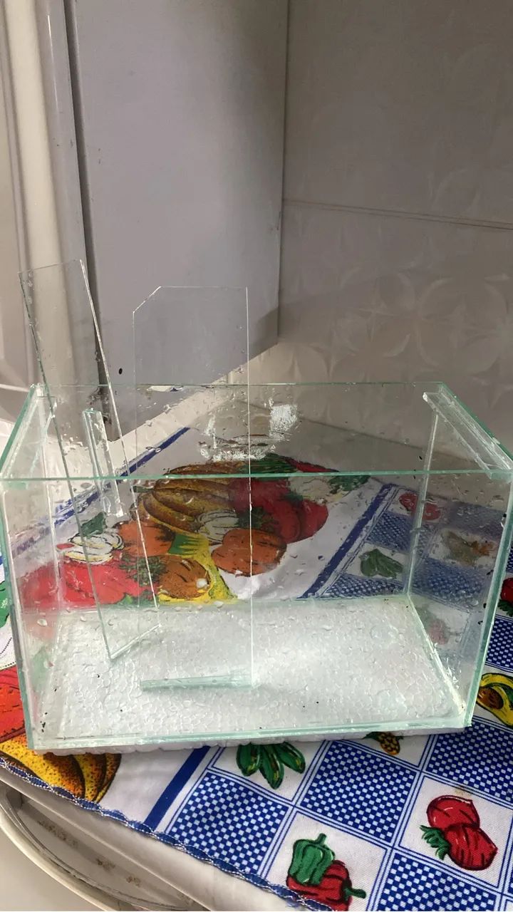 AQUÁRIO RETANGULAR, 5 LITROS - Foto 4