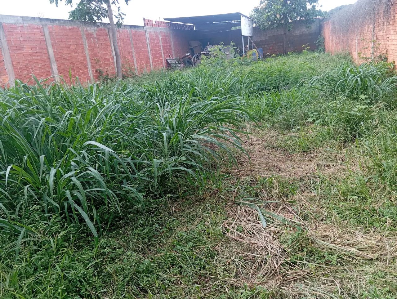 Lote 300 m²...Delfino...