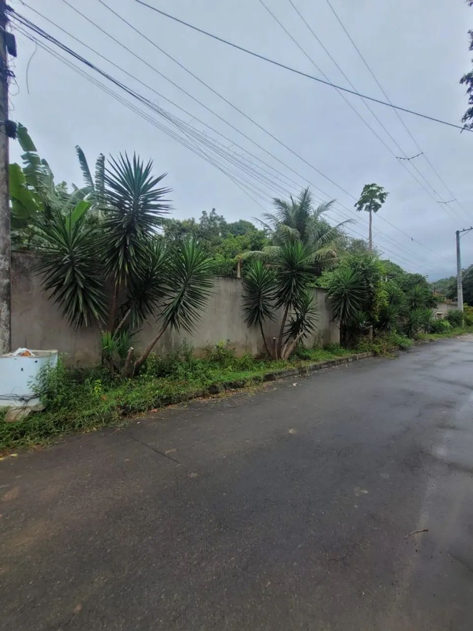 Lote Novo Brasil  - Foto 2
