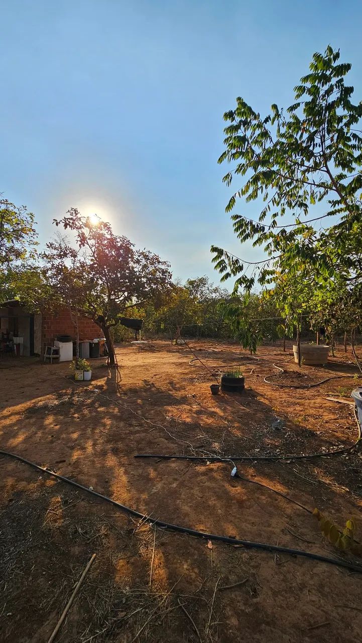 Chácara prox. Fazenda do Henrique e juliano - Foto 2