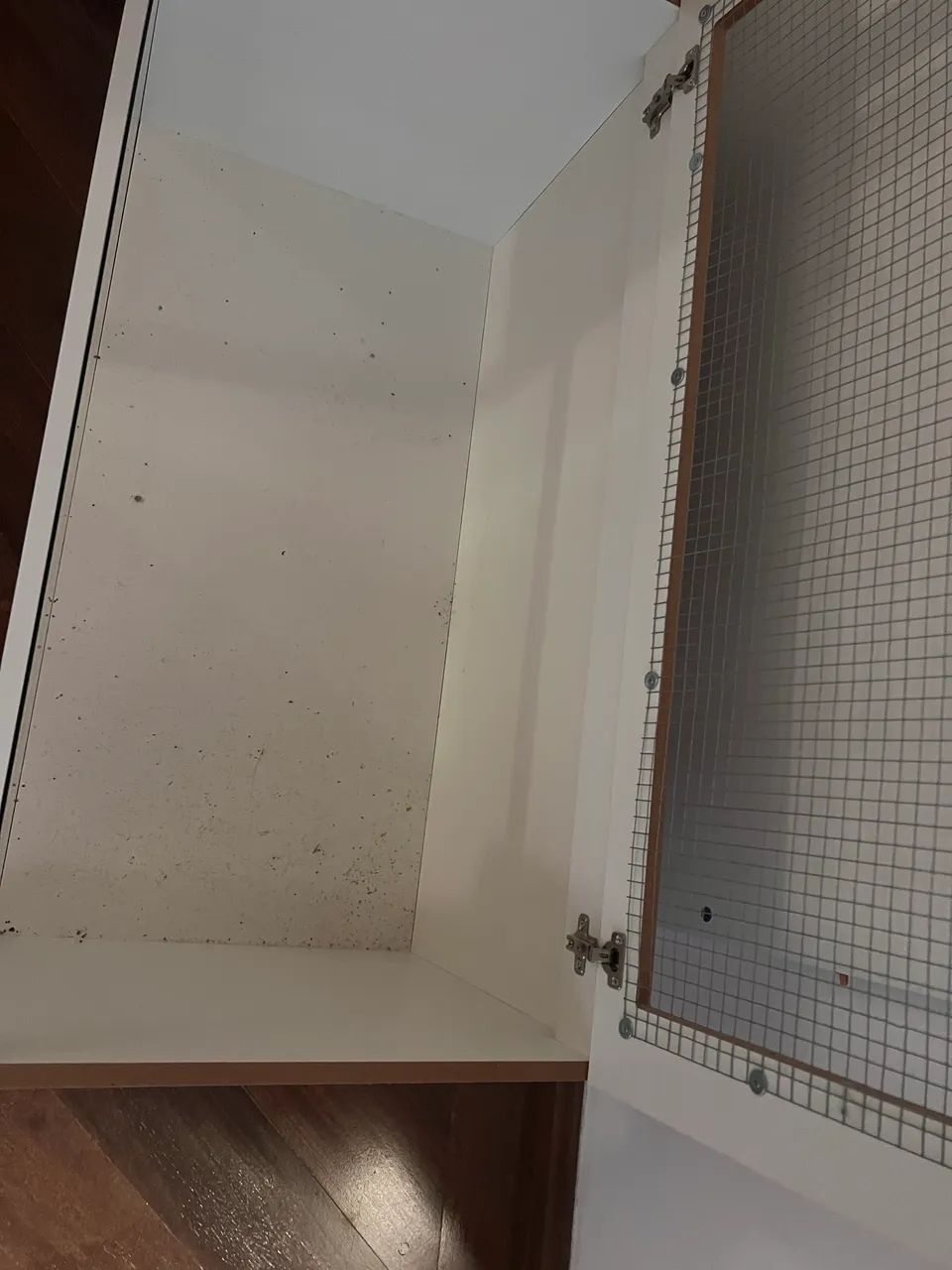 terrario para hamster - Foto 2