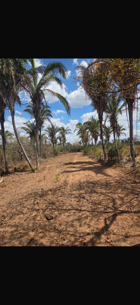 Fazendinha no Rio Cuiabá  - Foto 2