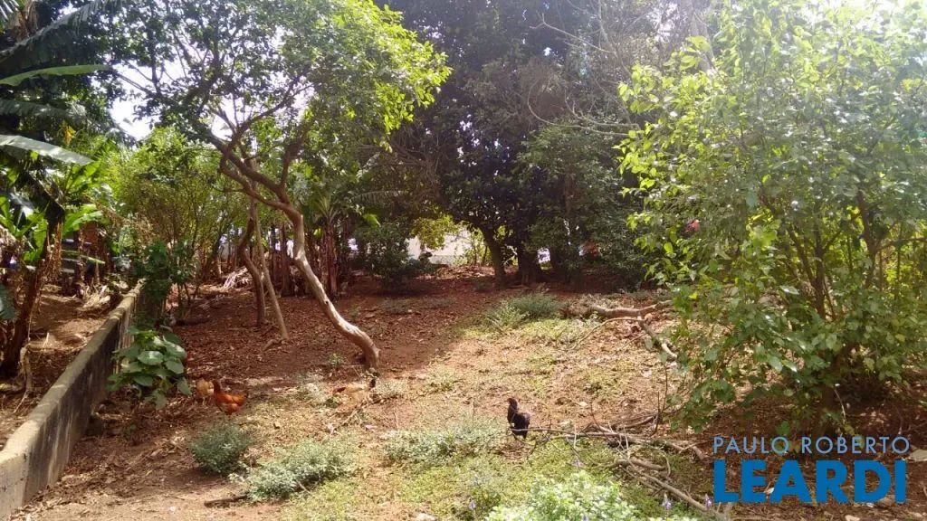 TERRENO - MORUMBI - SP - Foto 4