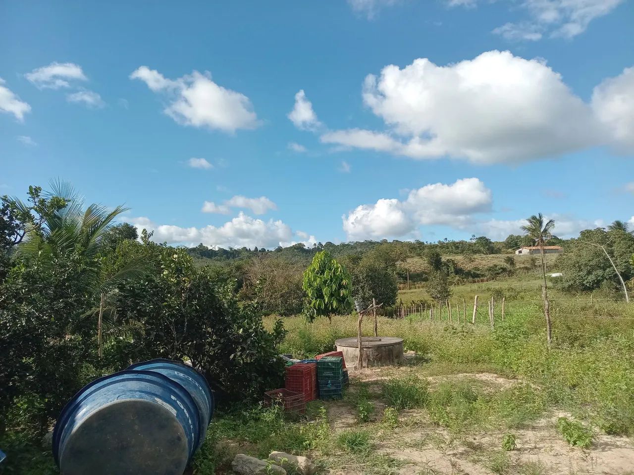 Vende-se ou troca por casa tbm na cidade de salgado ? - Foto 3