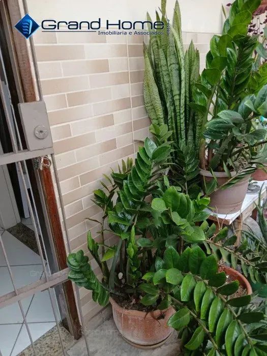Apartamento 2 quartos em Itapuã - Foto 3