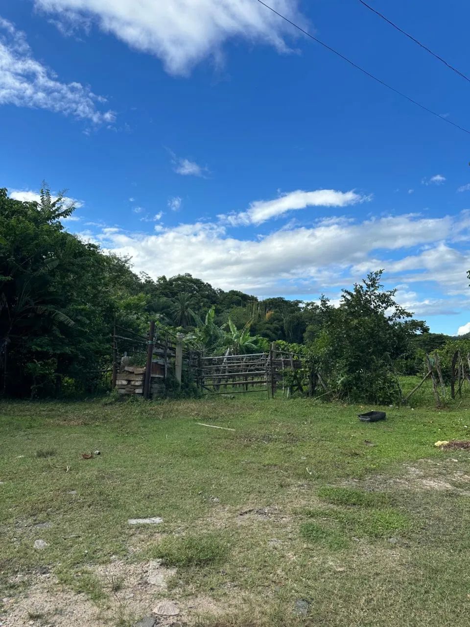 Foto - São Francisco do Conde - 