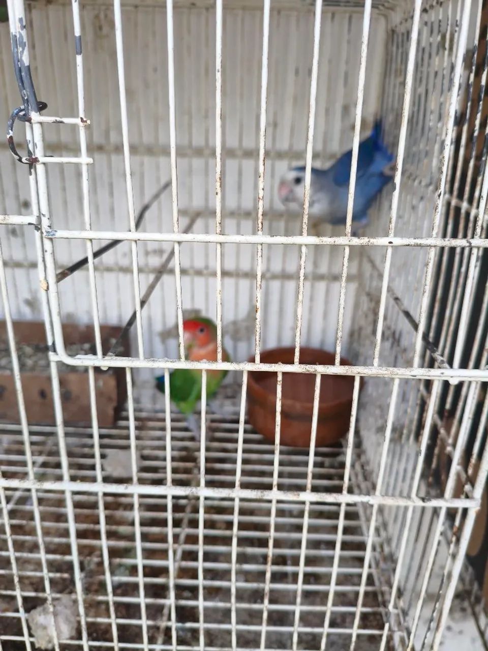 Poleiros  - Foto 3