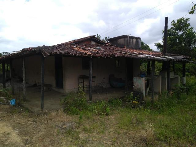 Chacara - Foto 7