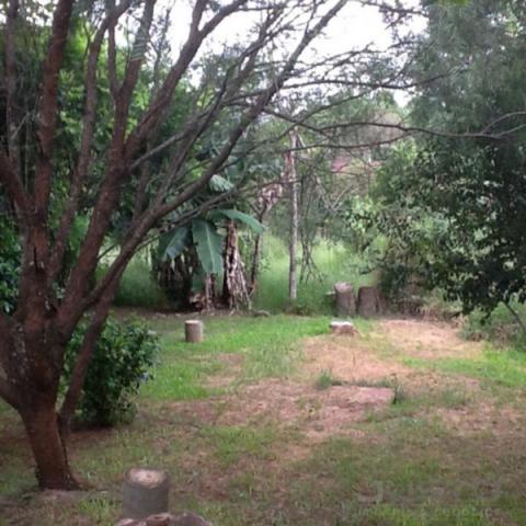 Casa à venda com 2 dormitórios em Campestre, São leopoldo cod:7735 - Foto 3