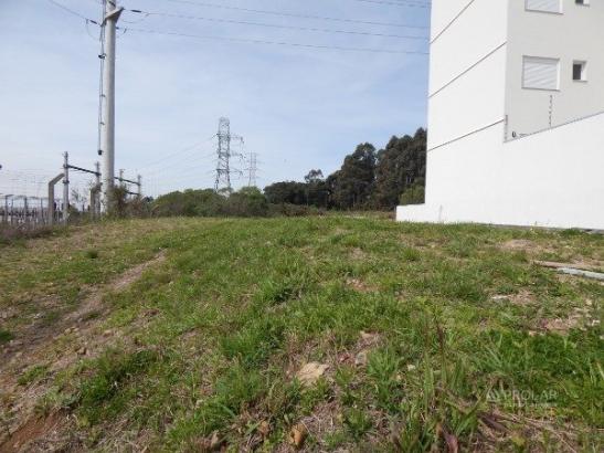 Terreno à venda em Sao luiz, Caxias do sul cod:11227 - Foto 5