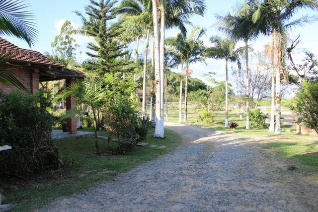 Lindo Sitio em Camboriú - Foto 16