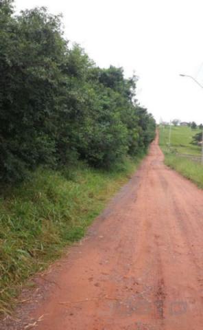 Terreno à venda em Morro de paula, São leopoldo cod:8070 - Foto 3