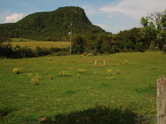 Terreno à venda em Lomba grande, Novo hamburgo cod:8700 - Foto 2
