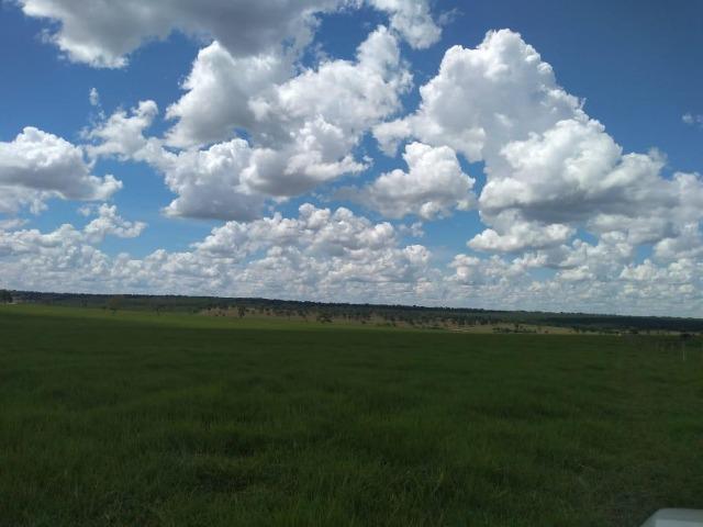 Fazenda pecuária 320 alq. Mato Grosso do Sul - Foto 2