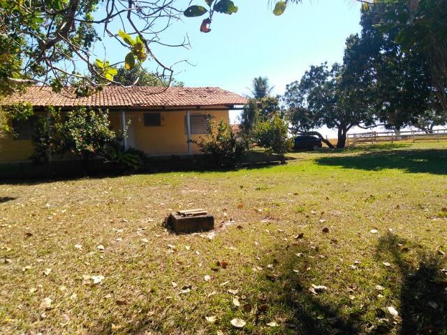 Fazenda Rio dos Bois, Cezarina, 8 Alq ,prox. Varjão-Gercinapolis, 100km de Goiânia - Foto 14