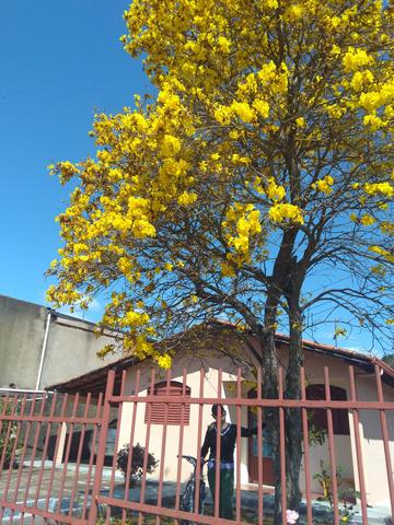 Casinha Aconchegante - Foto 5