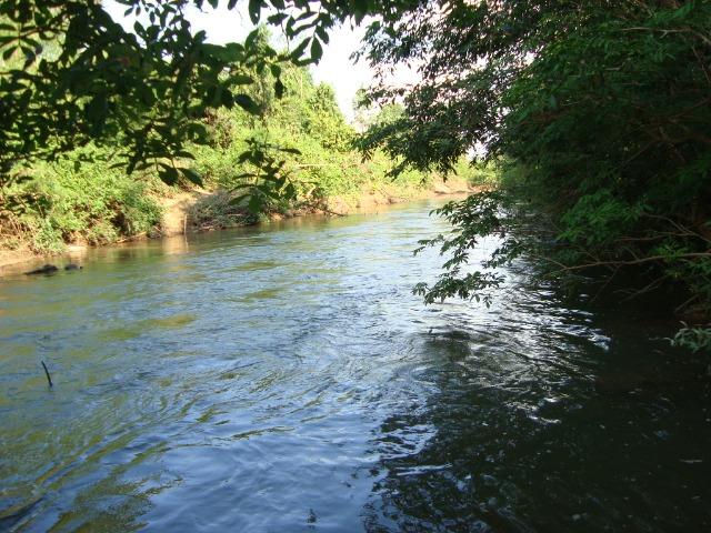 Chacara em Nobres - Foto 10