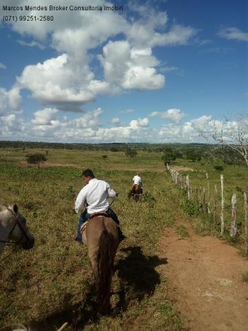 Fazenda a venda em baixa grande - bahia / brasil. - Foto 17