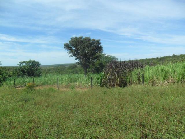 Sítio à venda em Zona rural sitio vereda grande, Três marias cod:442 - Foto 11