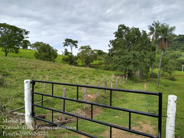Fazenda em Americano do Brasil-Go! - Foto 2