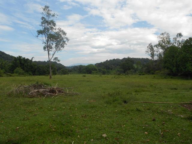 Jordão Corretores - Fazendinha 18 hectares Cachoeiras de Macacu - Foto 13