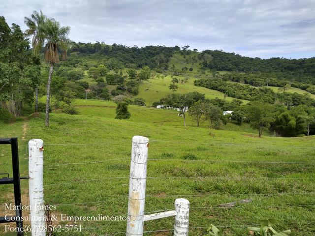 Fazenda em Americano do Brasil! - Foto 15
