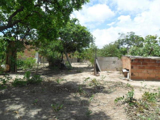 Chácara à venda com 3 dormitórios em Zona rural, Três marias cod:394 - Foto 11
