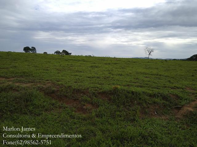 Fazenda em Americano do Brasil! - Foto 8