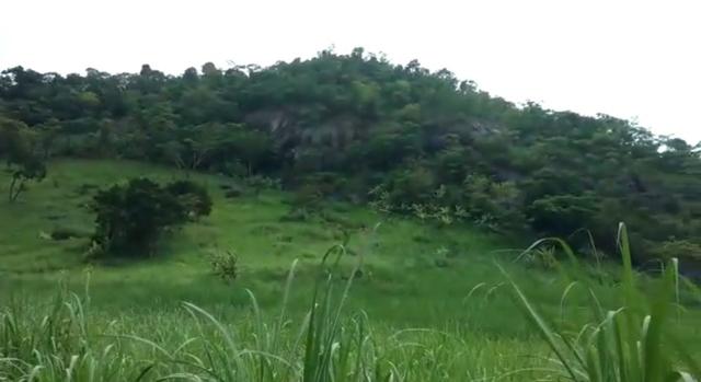 Propriedade de 140 hectares, entre Vitória e Escada-PE. - Foto 5