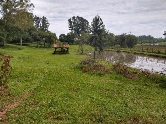 Sítio 4,1 hectares - volta do anacleto - montenegro - rs - Foto 19