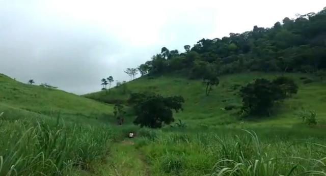 Propriedade de 140 hectares, entre Vitória e Escada-PE. - Foto 4