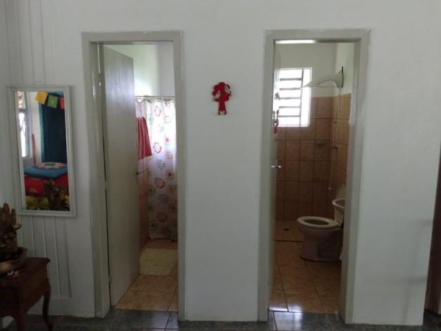 Sítio 4,1 hectares - volta do anacleto - montenegro - rs - Foto 7