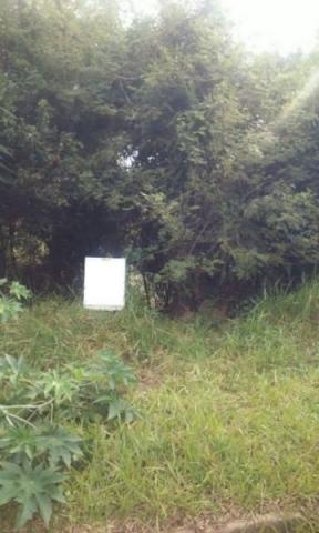 Terreno à venda em Ipanema, Porto alegre cod:MI15176 - Foto 3