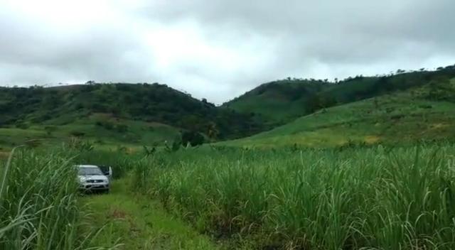 Propriedade de 140 hectares, entre Vitória e Escada-PE. - Foto 9