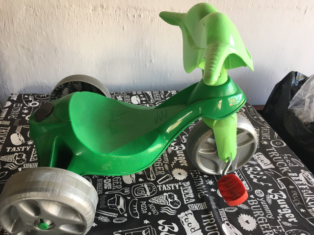 zootico