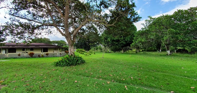 Fazenda/Sítio/Chácara para venda possui 30000 metros quadrados com 4 quartos