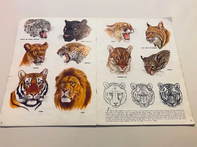 Coleção de 4 Revistas de Como Desenhar e Pintar usadas, em inglês Ver Desc - Foto 3