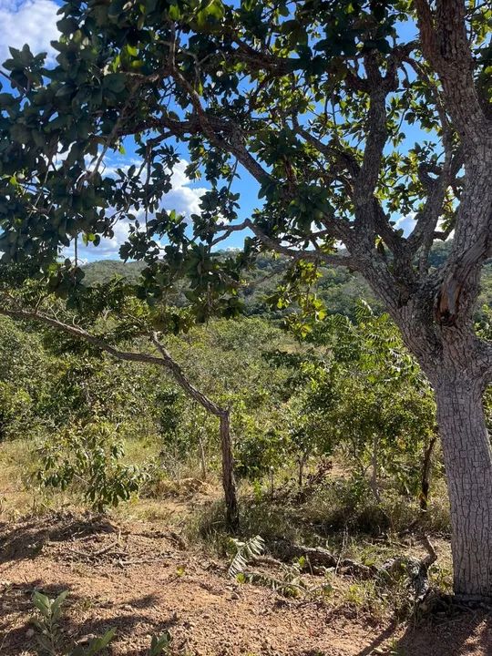 foto - Aparecida de Goiânia - Jardim Buriti Sereno