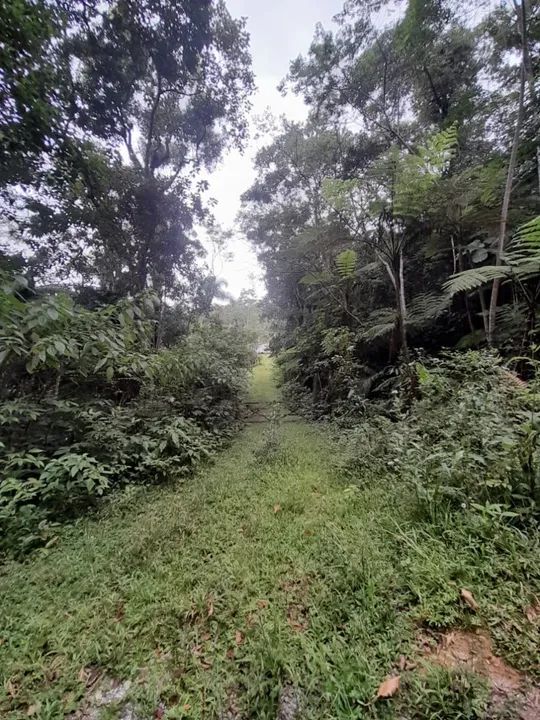 Sítio 25.000 m², Casas de Madeira, 2 Riachos, Rocinha, São Pedro De Alcântara - Foto 15