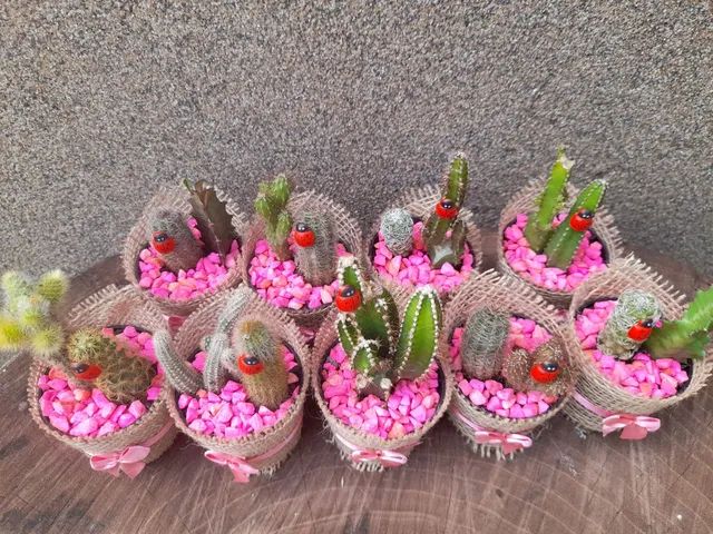 Lembrancinhas de cactos e suculentas  - Foto 6