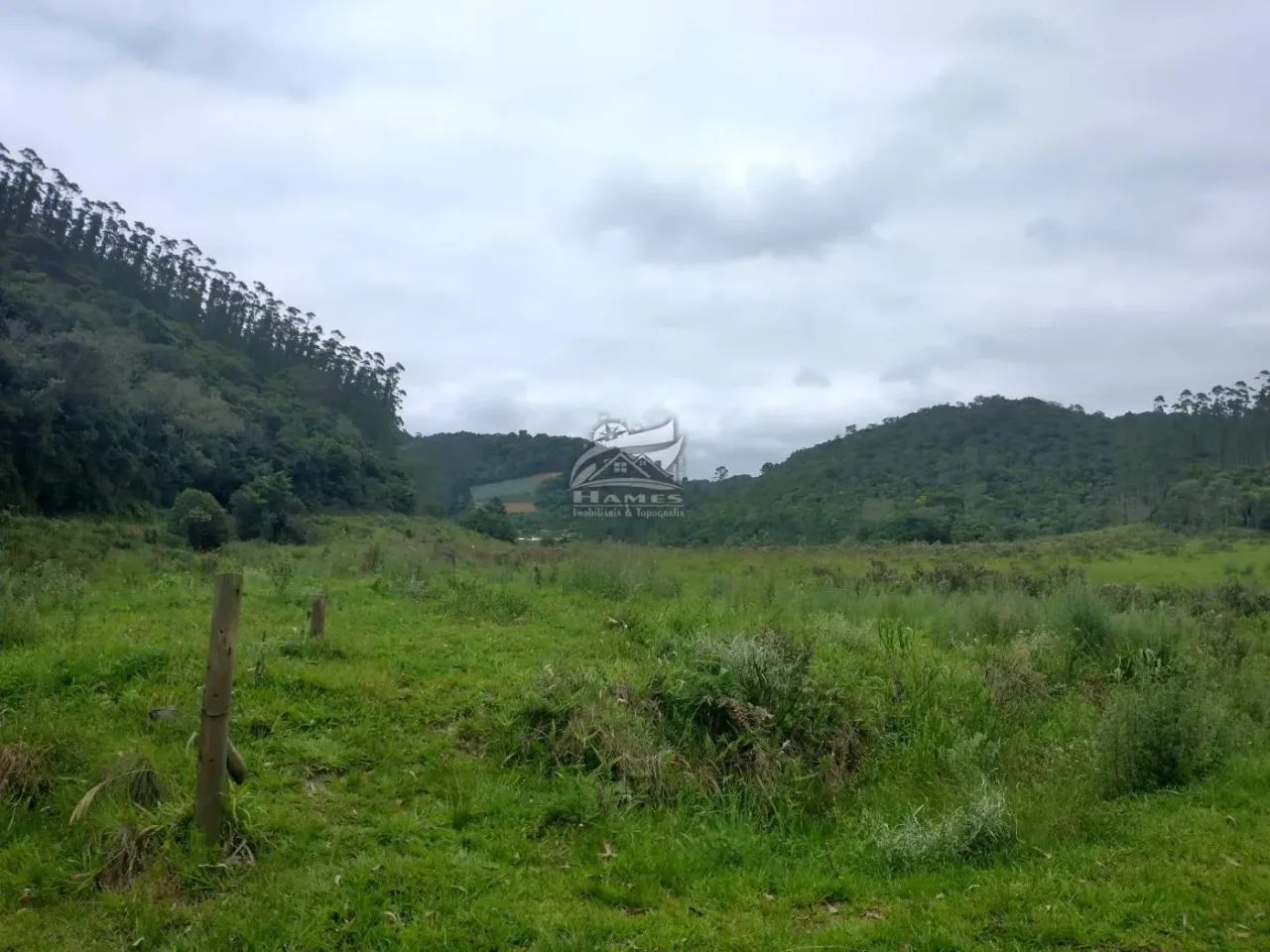 Terreno Rural para Venda em Angelina, TERCEIRA LINHA - Foto 3