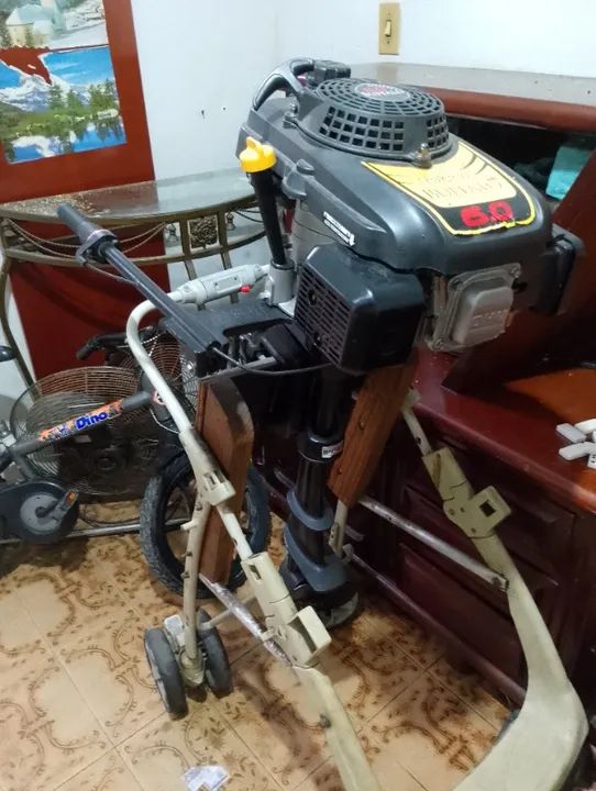 Motor búfalo 6.0 Hp  - Foto 5