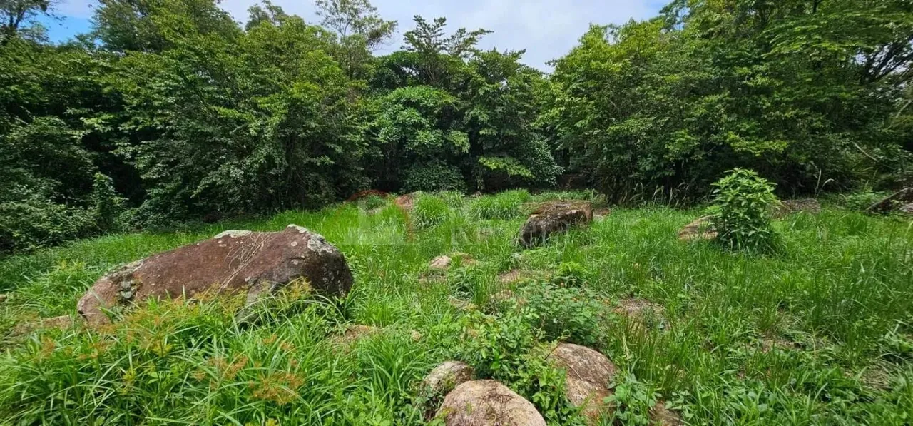 Excelente Terreno a venda no São Pedro com Escritura definitiva em Ilhabela.